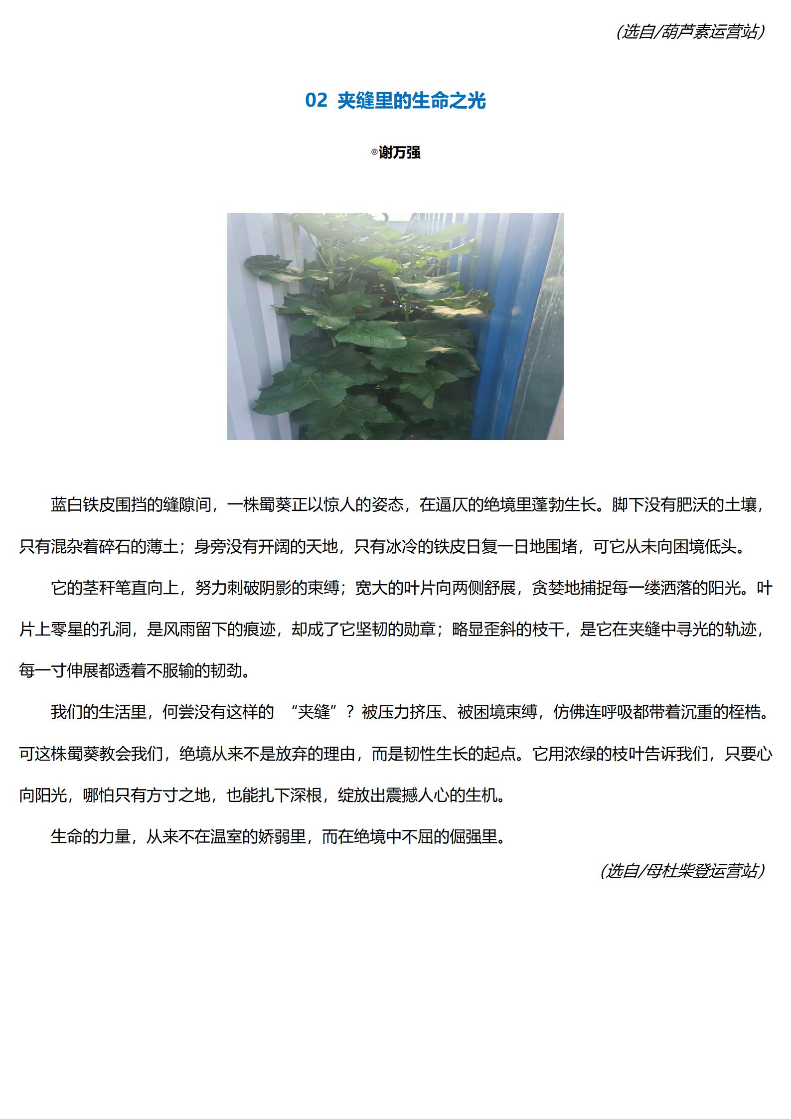 k1体育app下载